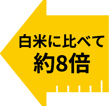 白米に比べ約8倍