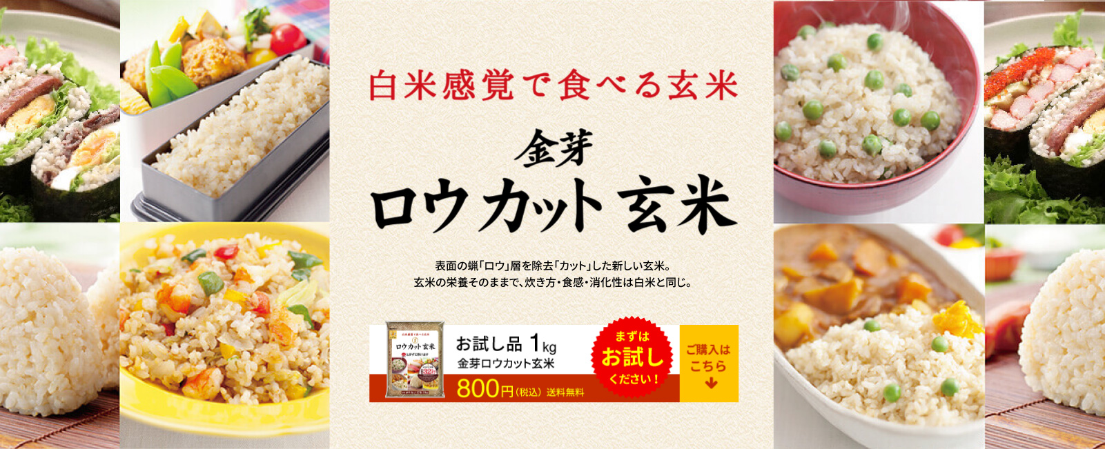 金芽ロウカット玄米