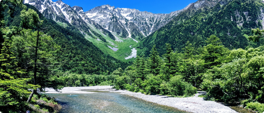 環境と人にやさしい無洗米