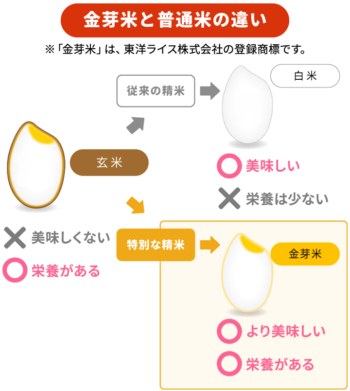金芽米は「亜糊粉層」を残したおコメ