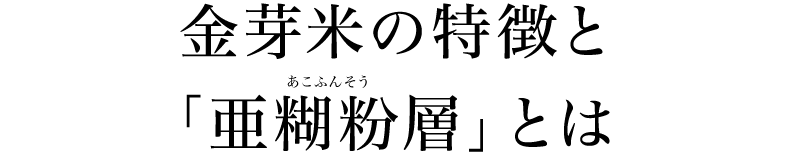 金芽米の特徴と「亜糊粉層」とは