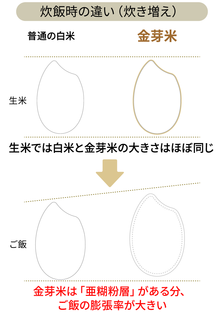 炊飯時の違い（炊き増え）