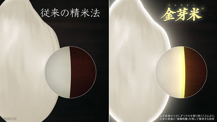 ●金芽米・機能編●