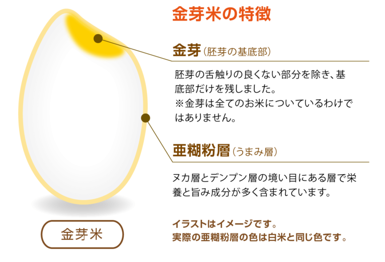 金芽米の特徴