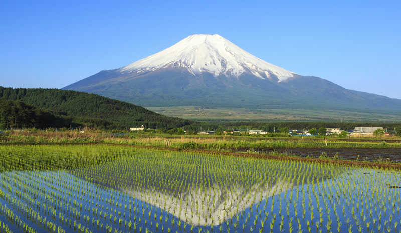 わが国の水田をまもる