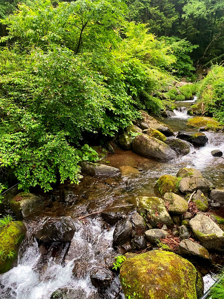 山梨県道志村のキャンプ場