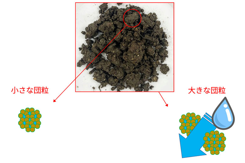 「米の精」施肥の土の状態