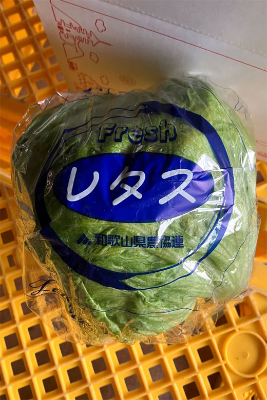 阿部様の「米の精使用」レタス