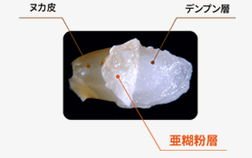 めくれる糠皮