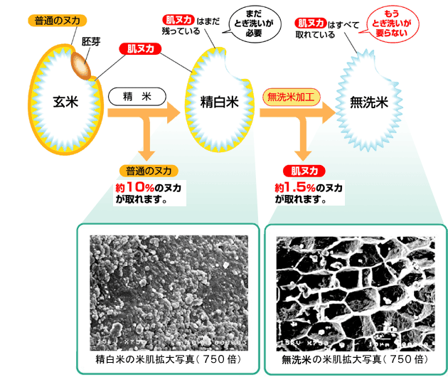 無洗米とは