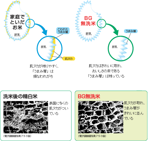 うまみ層が残っているので美味しい