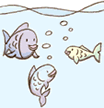 とぎ汁が出ないので水を汚さない