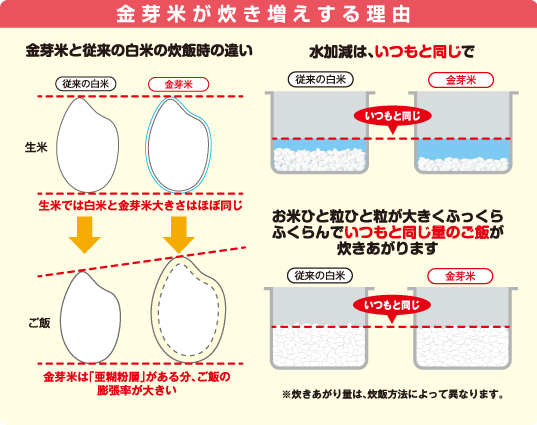 「金芽米が炊き増えする理由」画像