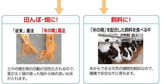「米の精」を田んぼ・畑に!、飼料に!の画像