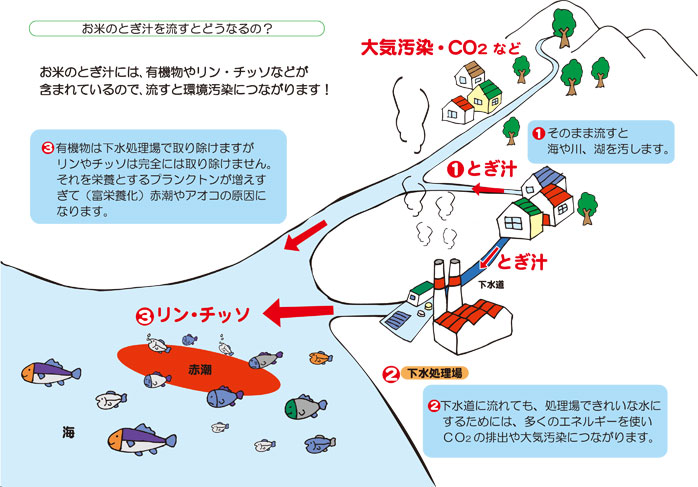 「お米のとぎ汁を流すとどうなるの？」画像