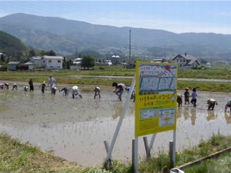 田植え画像1