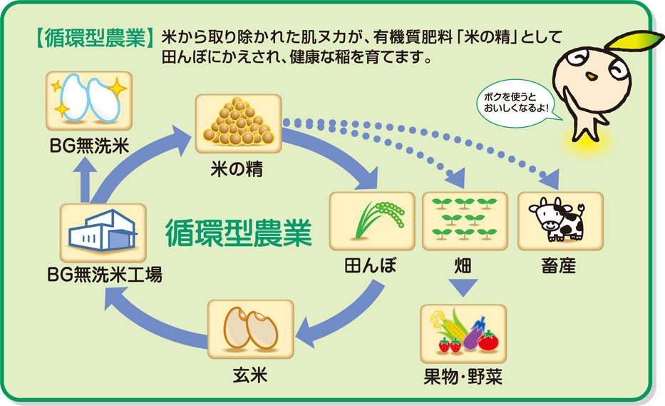肌ヌカ　循環型農業　図